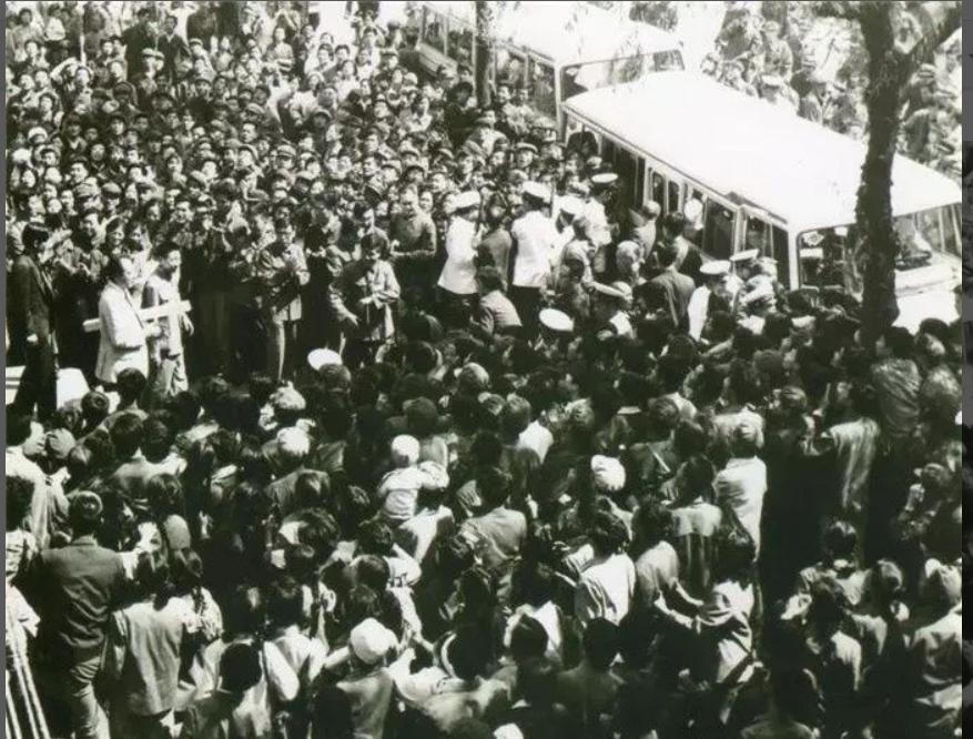 中野良子真由美,真由美中野良子简介