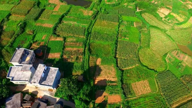 苏州虎丘区浒关镇华侨村,华侨新村荒废别墅