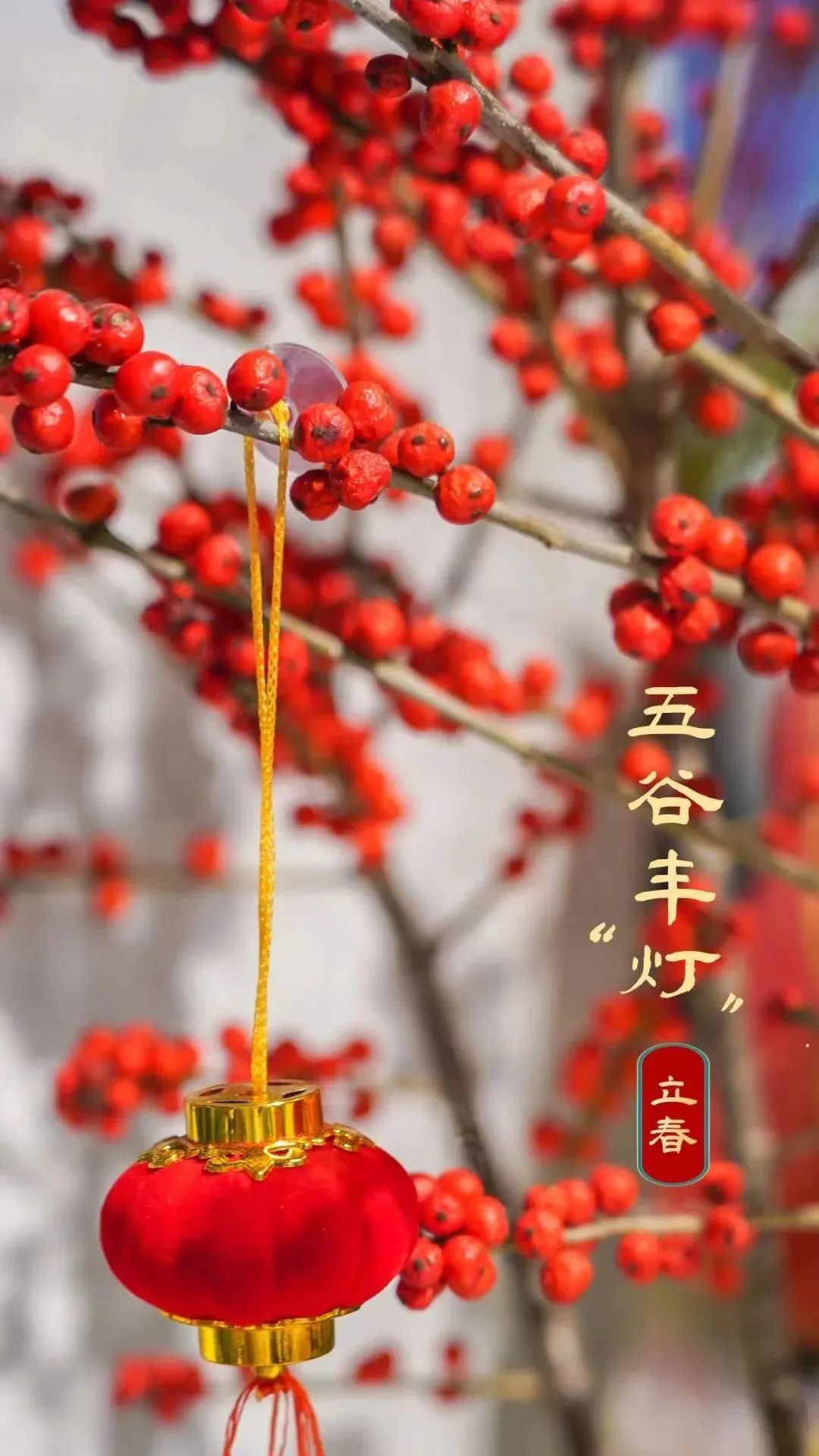 武汉春节惠民活动,武汉人的福利