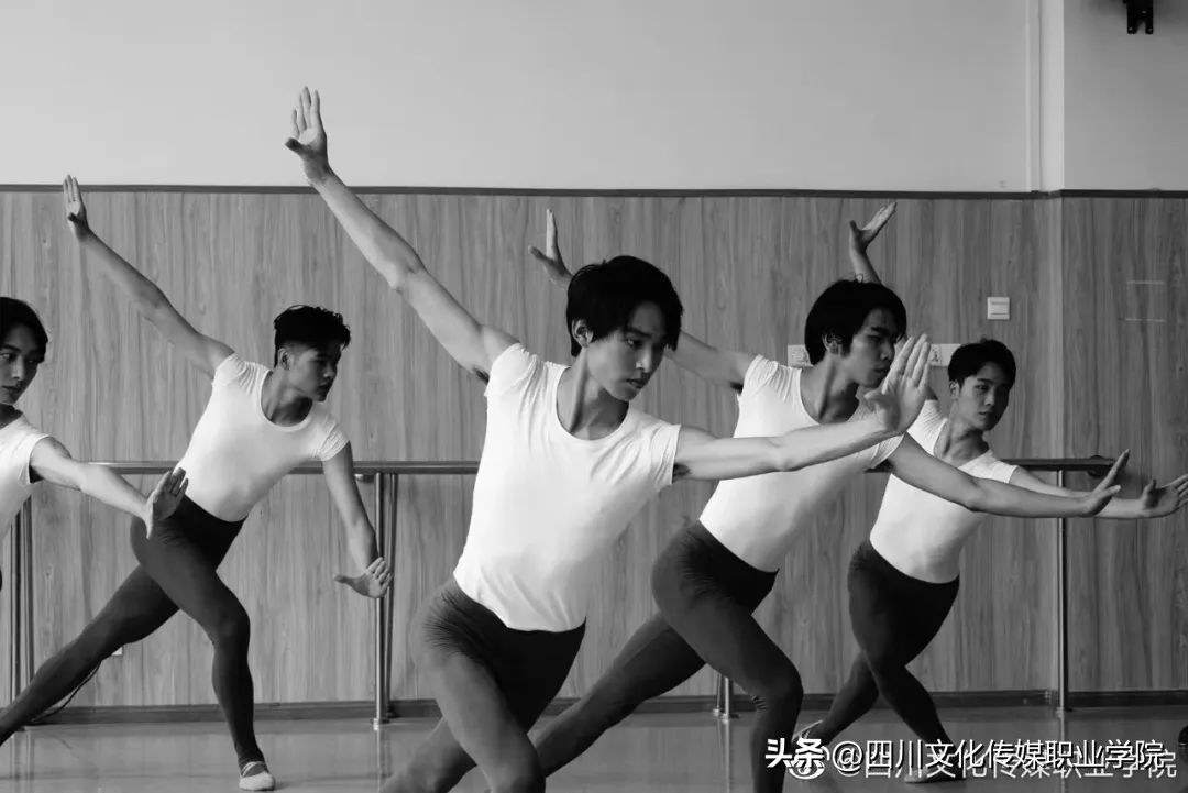 四川文化传媒职业学院是单招吗,四川文化传媒职业学院报名时间表