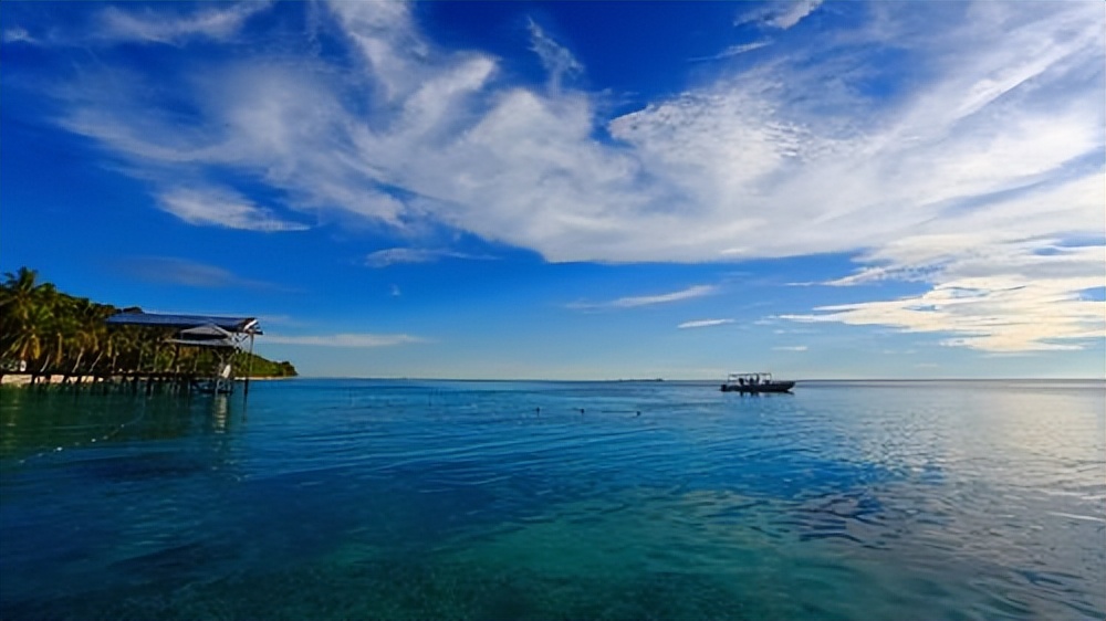 做事老是犹豫不决中医辨证,疏肝解郁养血固精