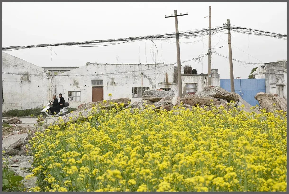 台州三月三游街,台州扫街转场
