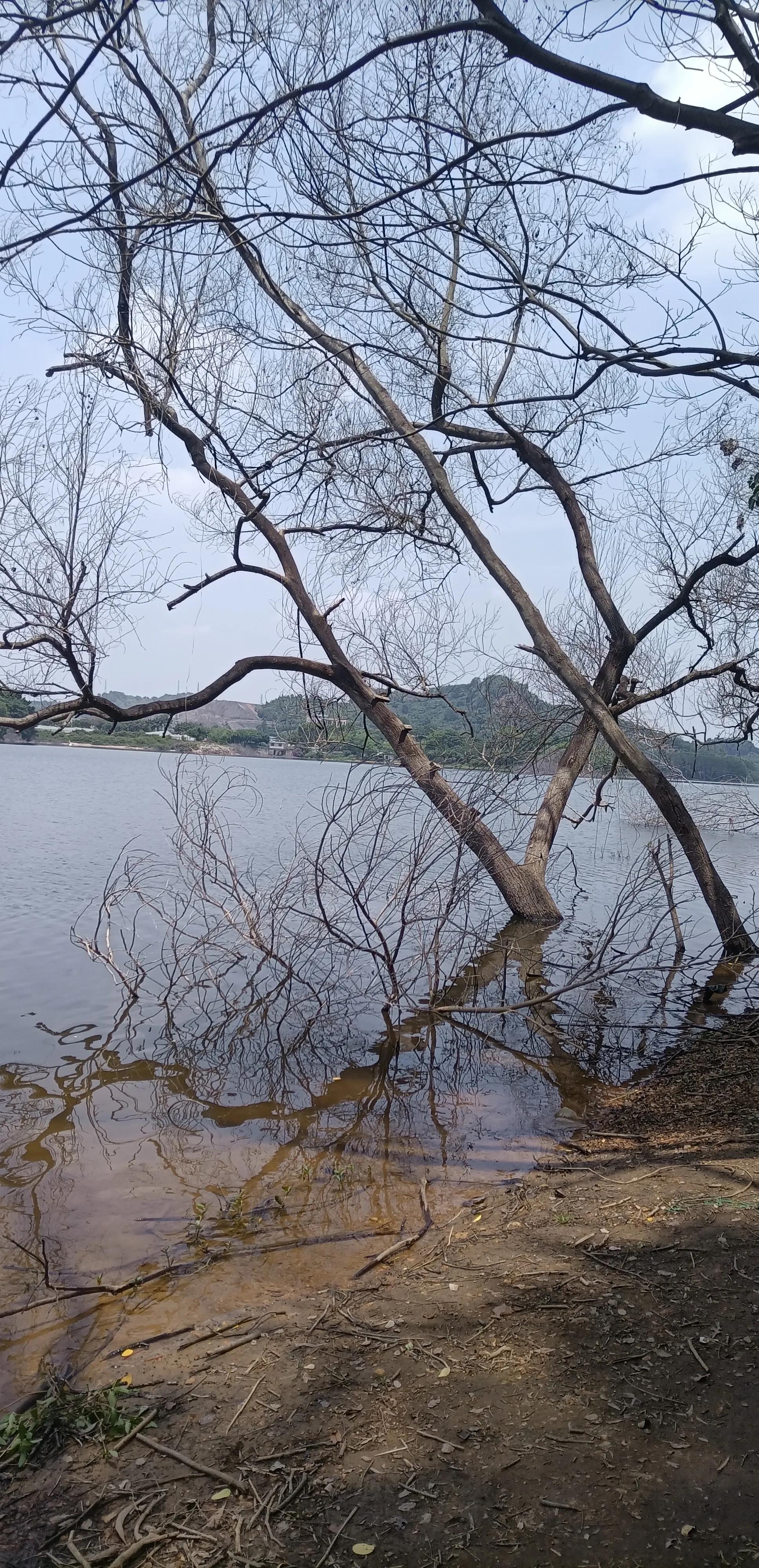 平常心即是道经典语录,平常心即是道南怀瑾