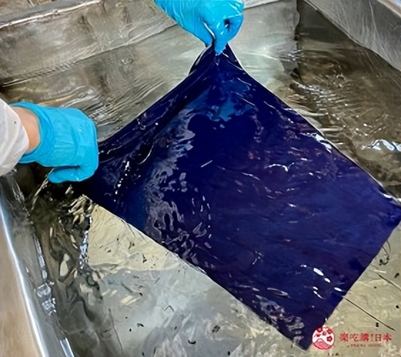 日本福冈旅游攻略酒店,福冈旅游酒店有哪些