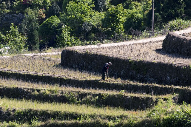 真实的乡村真实的土地精神,真实的农村耕地视频