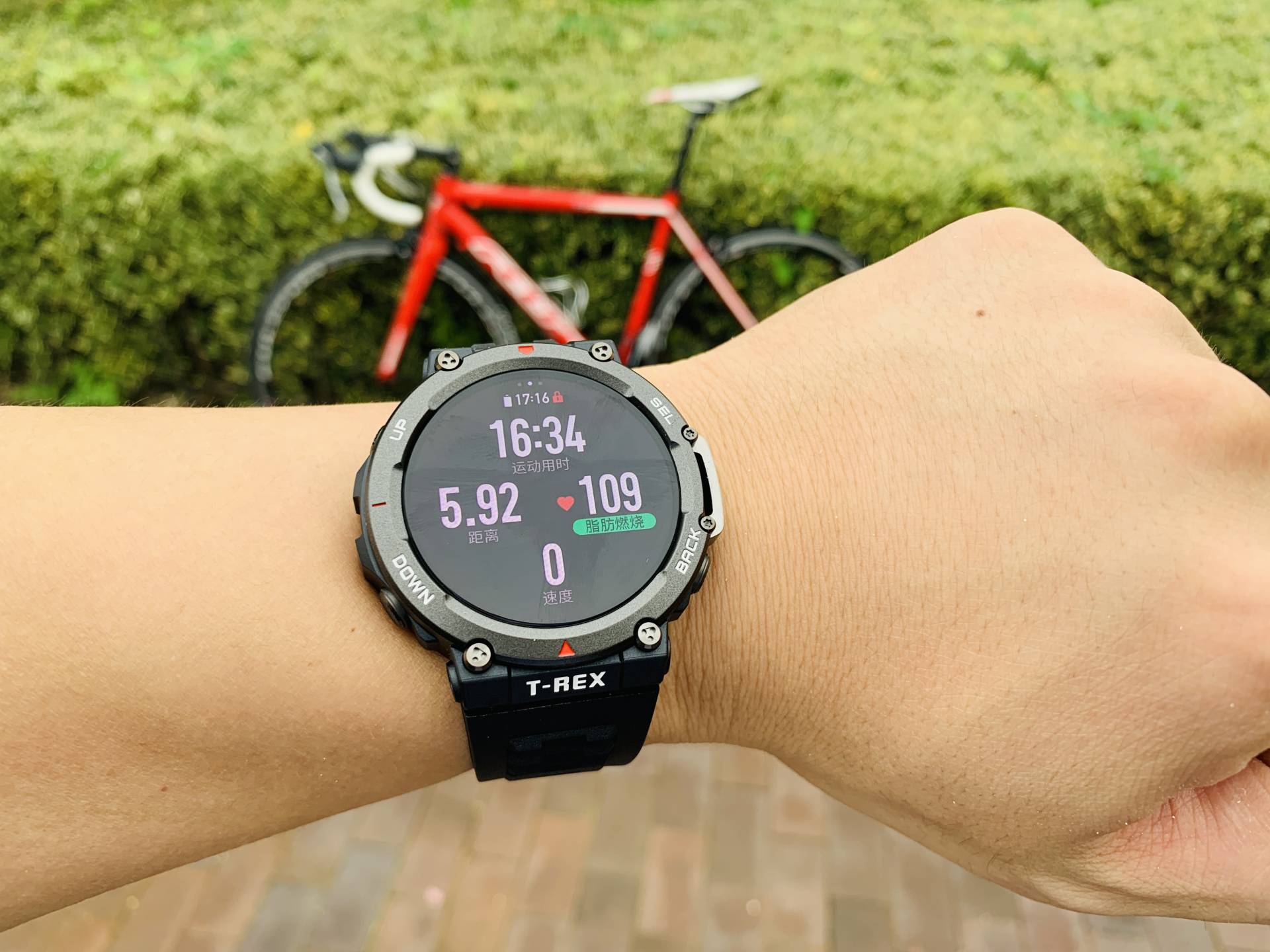 500左右卡西欧g-shock,amazfit运动手表799元