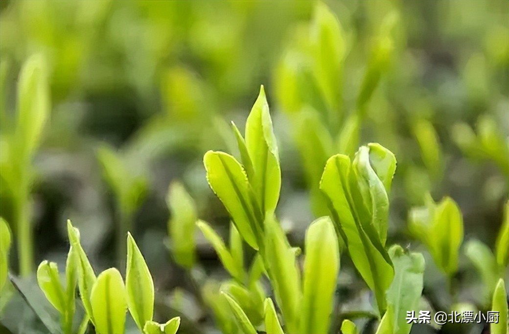 山东45岁大哥坚持喝酒,45岁大哥长期喝枸杞