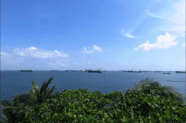 新加坡公寓比组屋好在哪里,新加坡公寓的学区比组屋好么