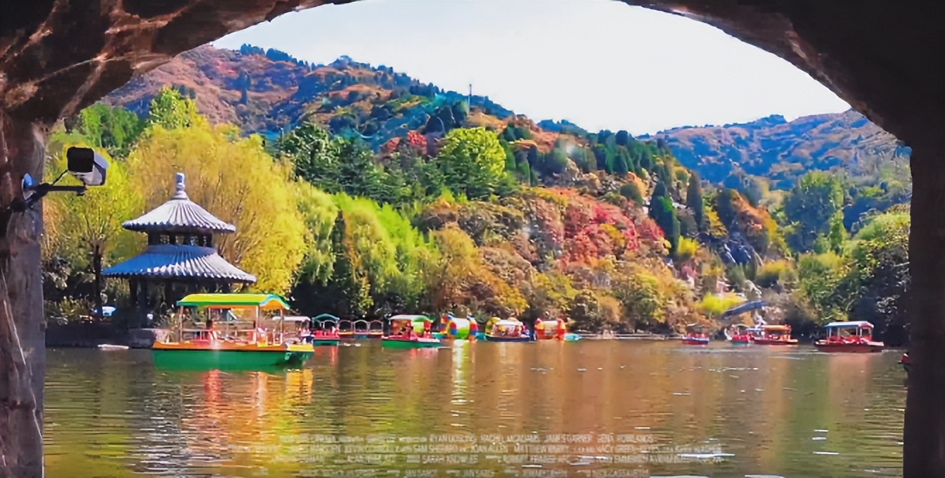 入秋济南好去处,济南秋季看花打卡地