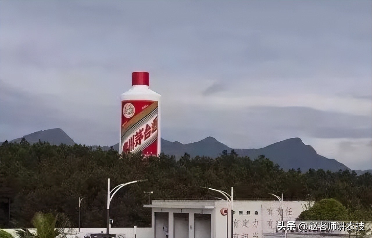 河北张哥想1499买瓶飞天茅台，特地跑到贵州，结果空手而归，为何