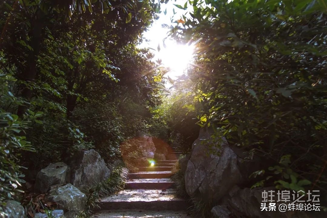 重阳节登高赏秋祈福视频,重阳节赏秋登高感恩敬老