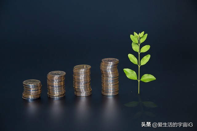 夹缝中求生存真的不容易,夹缝里求生存挣钱吗