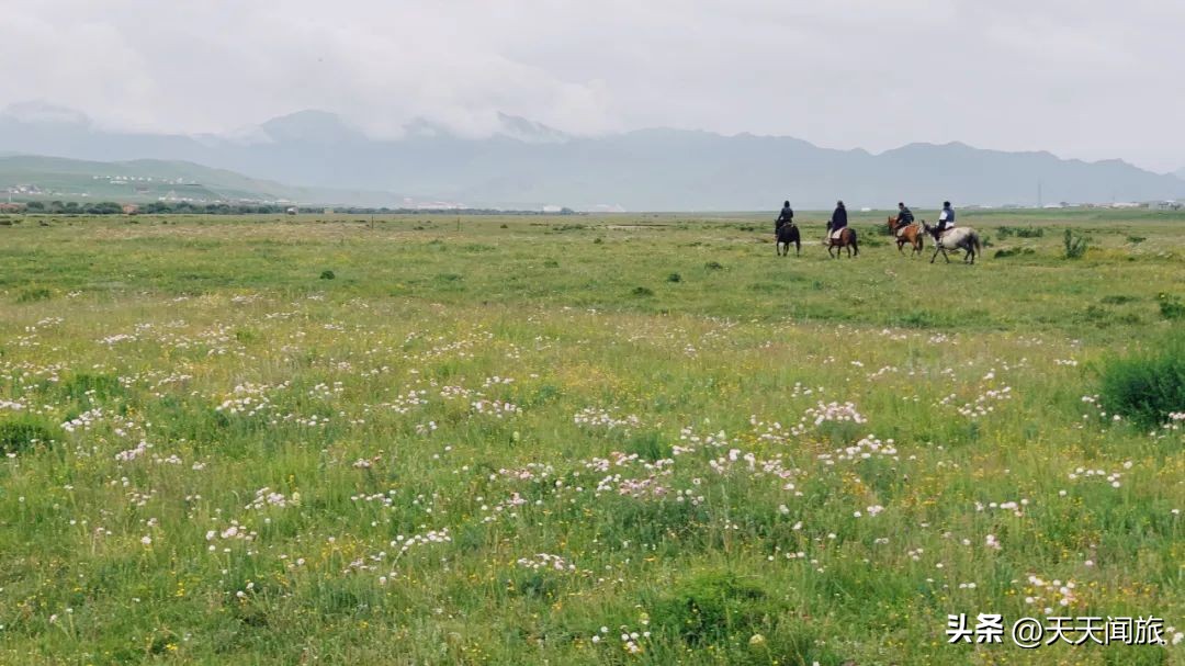 九寨归来不看水四川行,九寨归来不看水峨眉归来不看山
