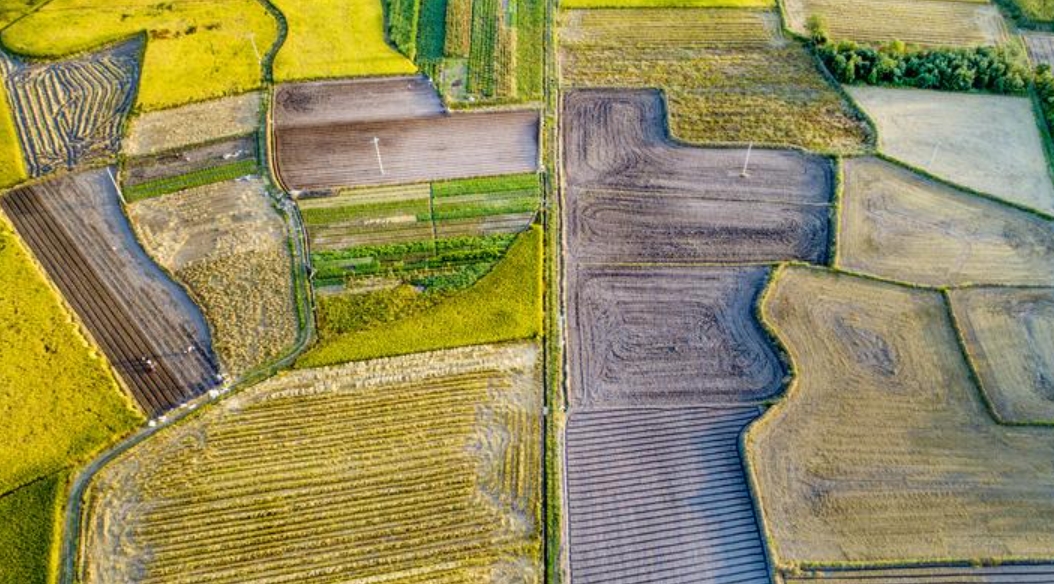 戈壁为什么禁种硒砂瓜,宁夏硒砂西瓜不让种植了吗