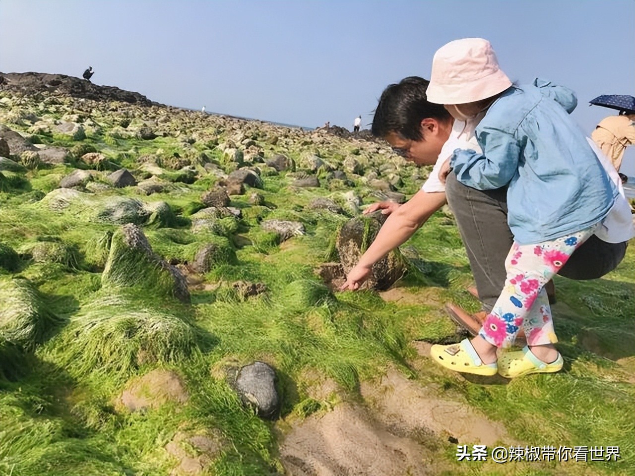海南岛风景临高,海南临高海边哪里最好