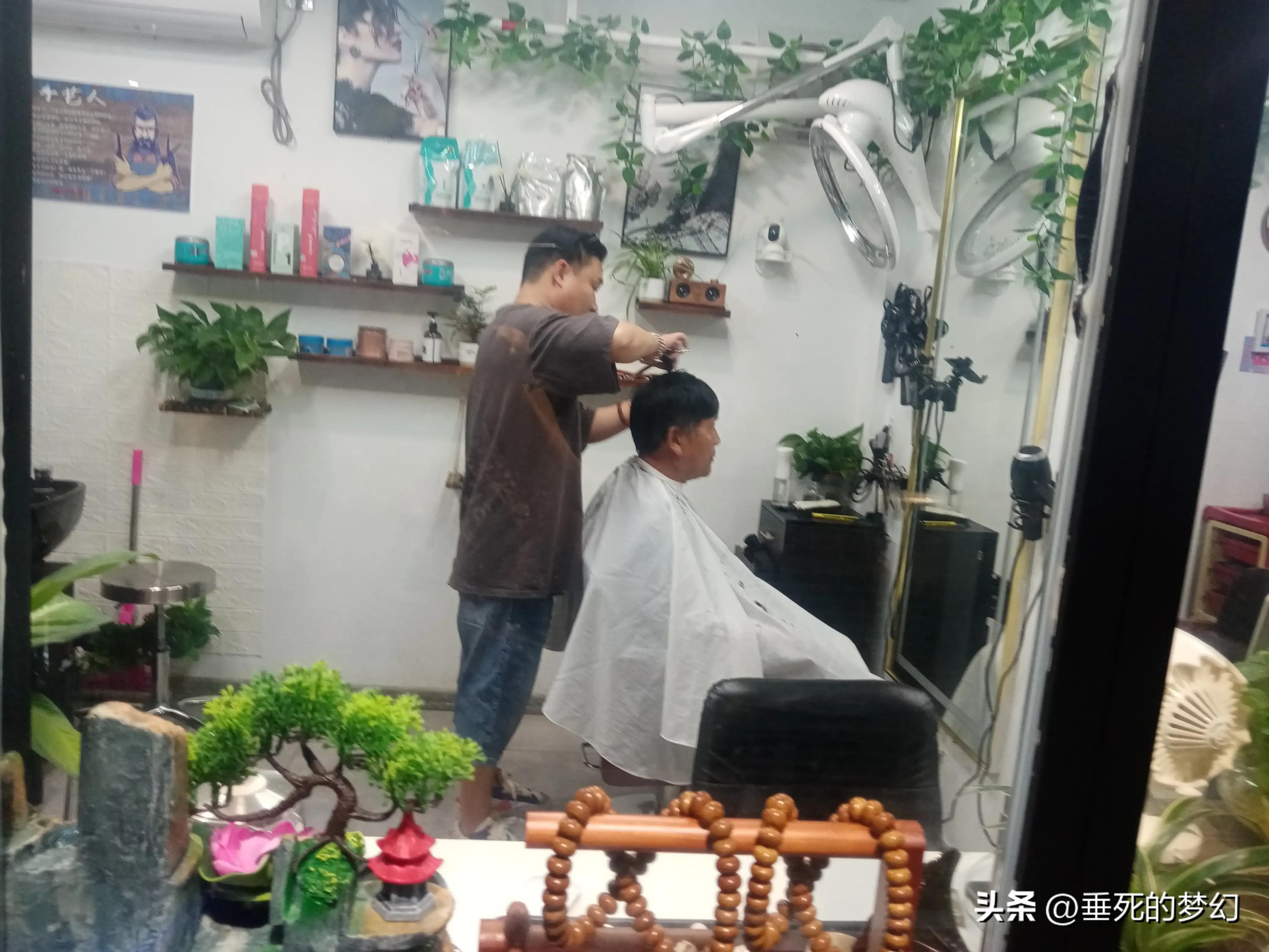 美丽的普陀,美丽普陀同心家园