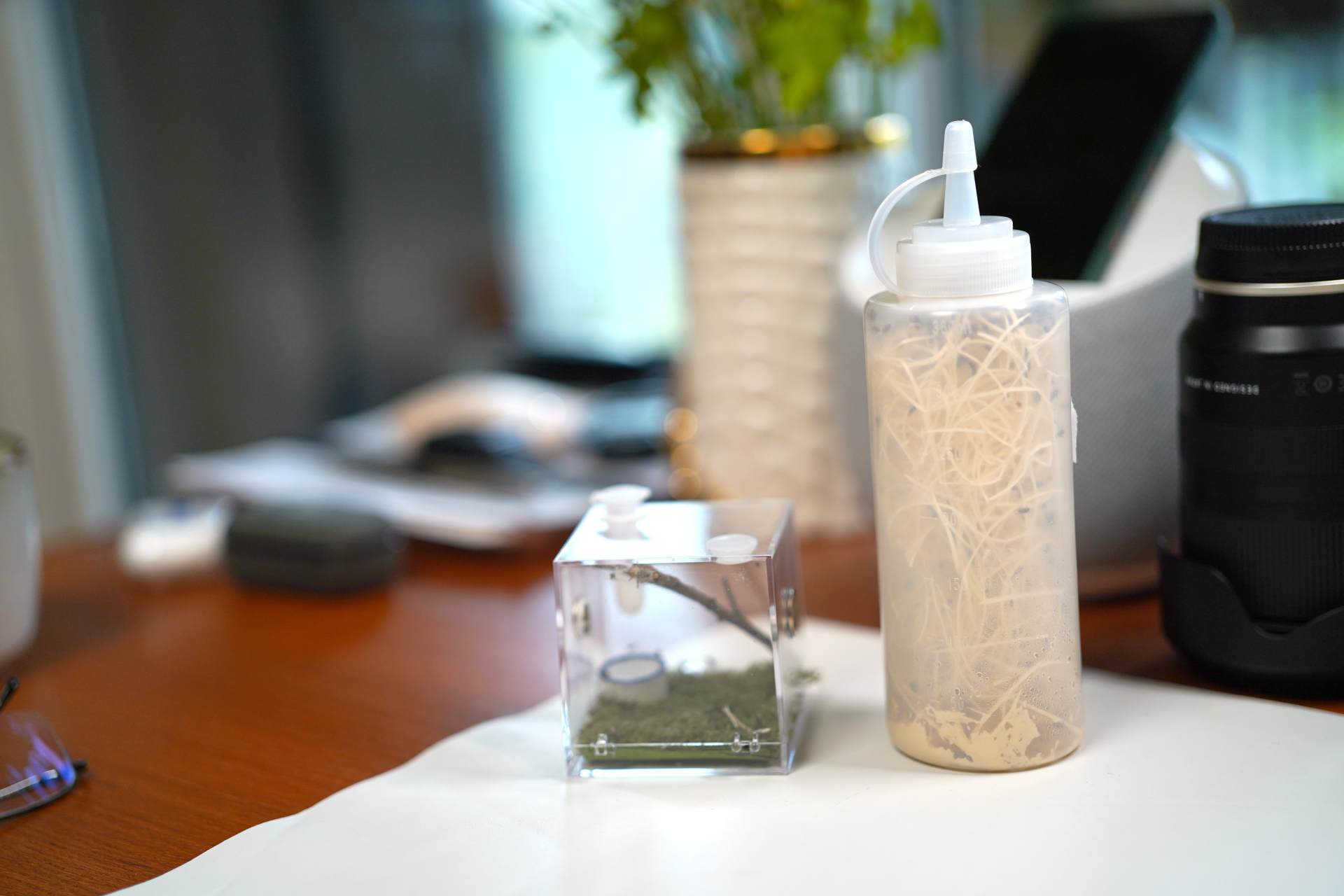 女神节别忘记给你的男人买束花,女神节忘记给老婆买礼物