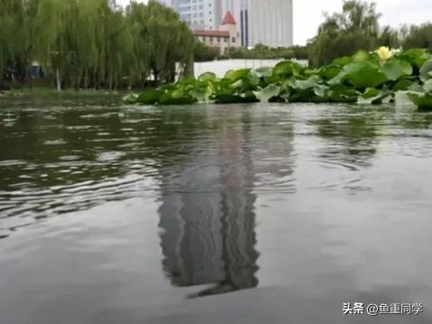 四月八日和四月初八有什么不同,三伏热不热看六月十五