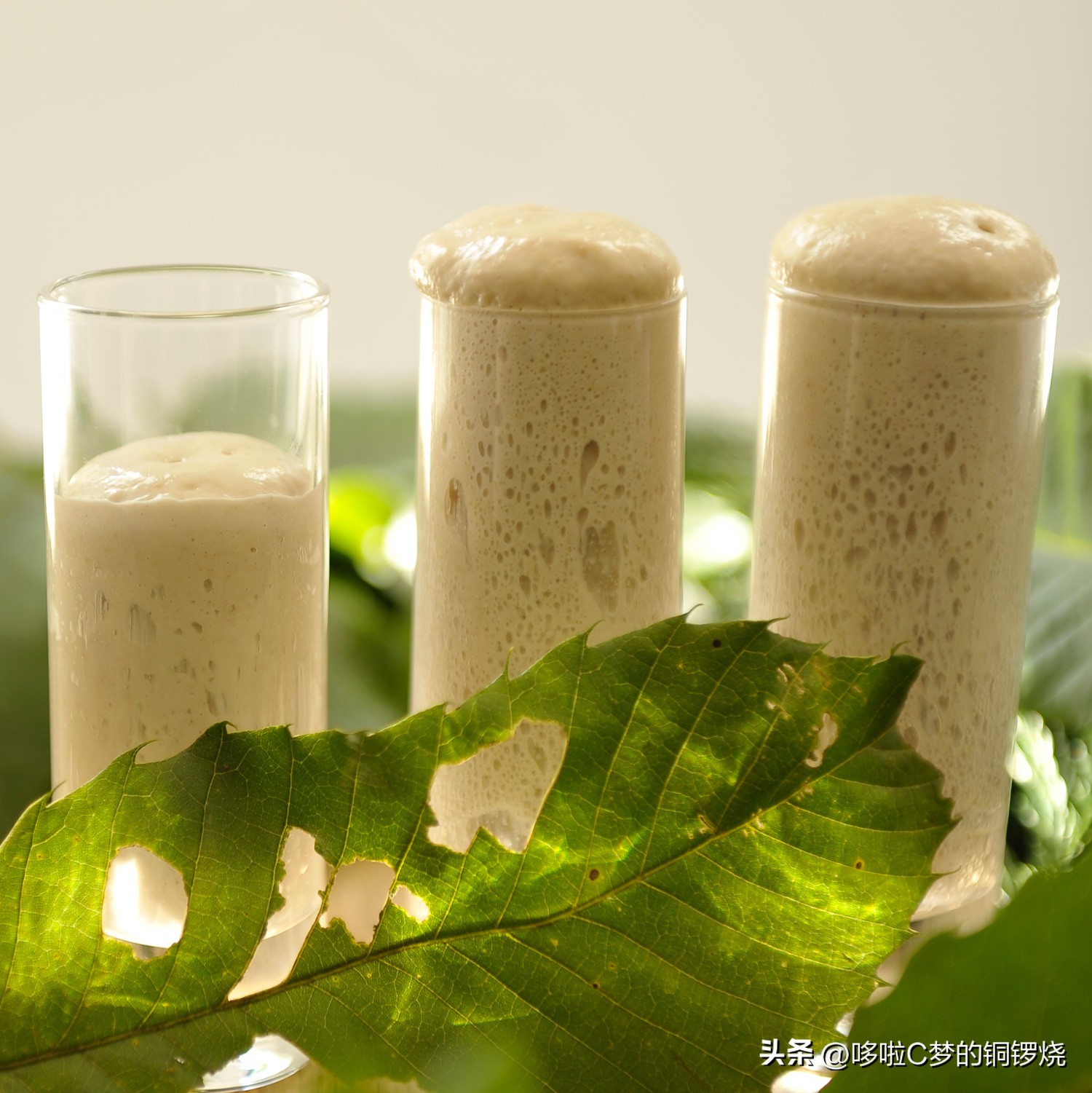 世界十大美食餐厅排行榜,美食指南全球最佳顶级餐厅盘点