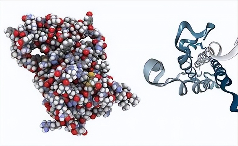 女性“巨阴症”可以生育吗？医生：主要要看2种情况，不妨看看