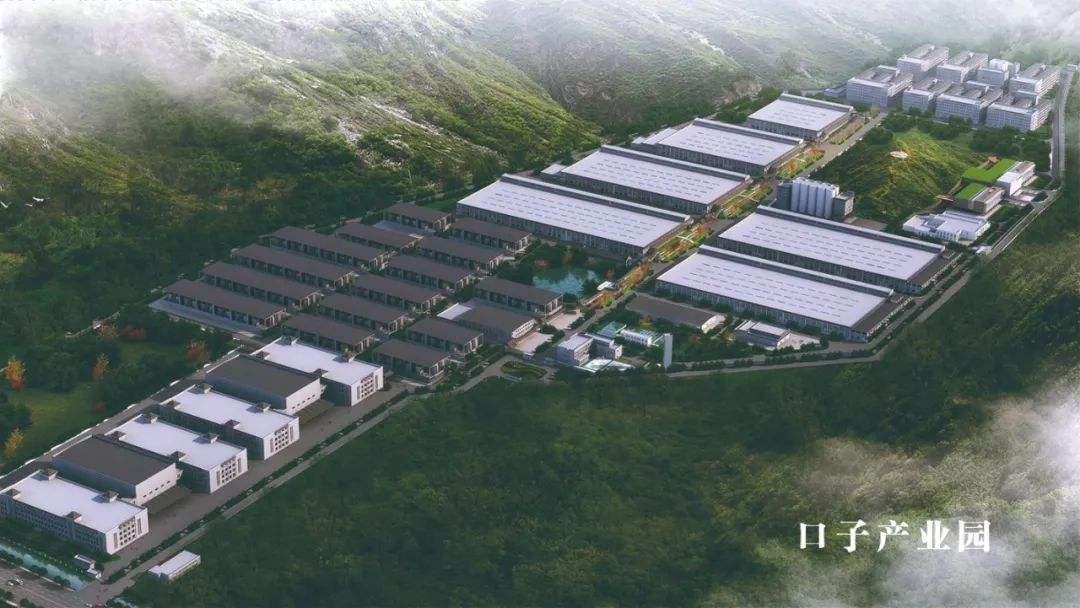 淮北口子酒厂徐进的信息,口子集团徐进身价