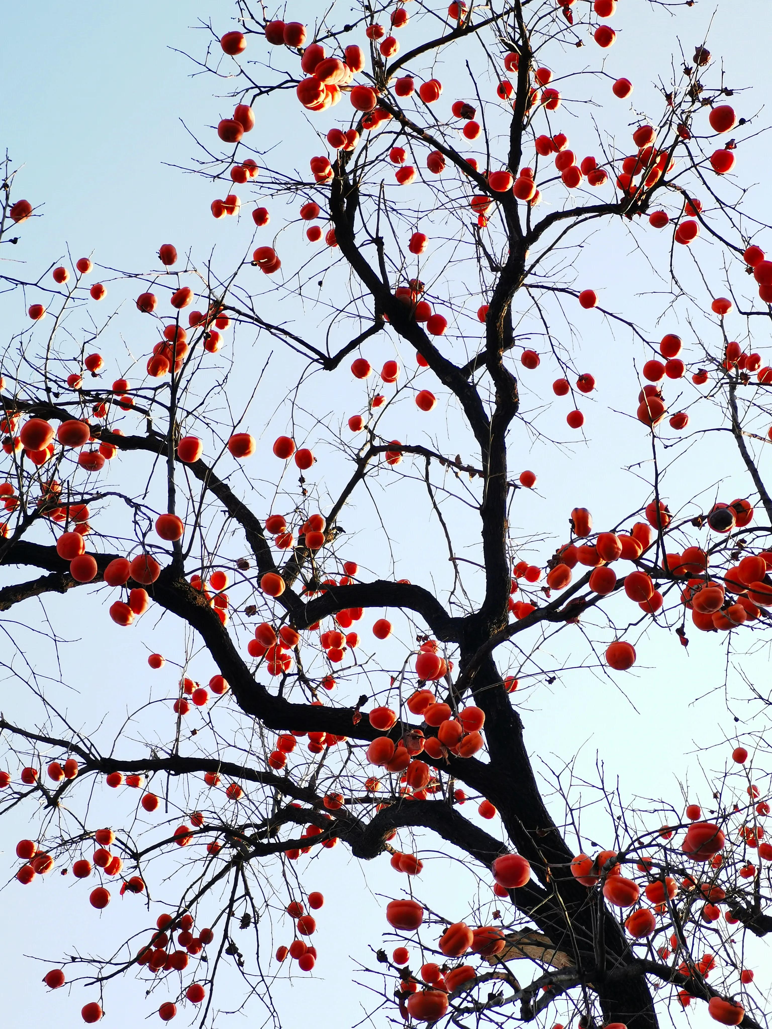 手拍世界作品专集,手拍世界283期