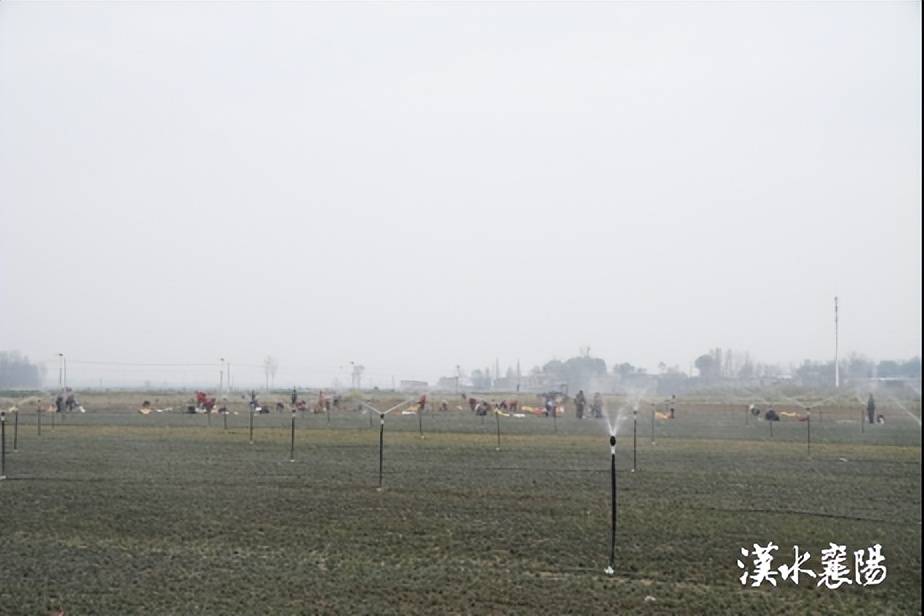 这个乡镇投资1.5亿元做这件事……