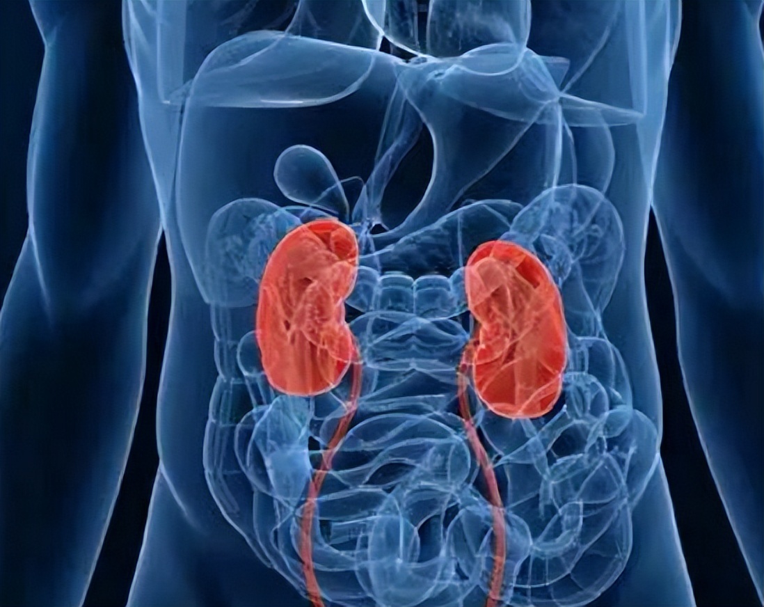 六味地黄丸杞菊地黄丸功效与作用,六味地黄丸杞菊地黄丸副作用