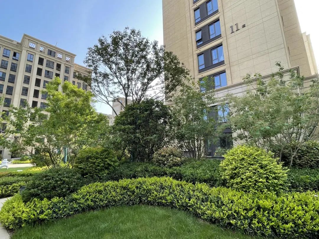 真香的全运村，算不算西安交房天花板|房哥验房报告41期