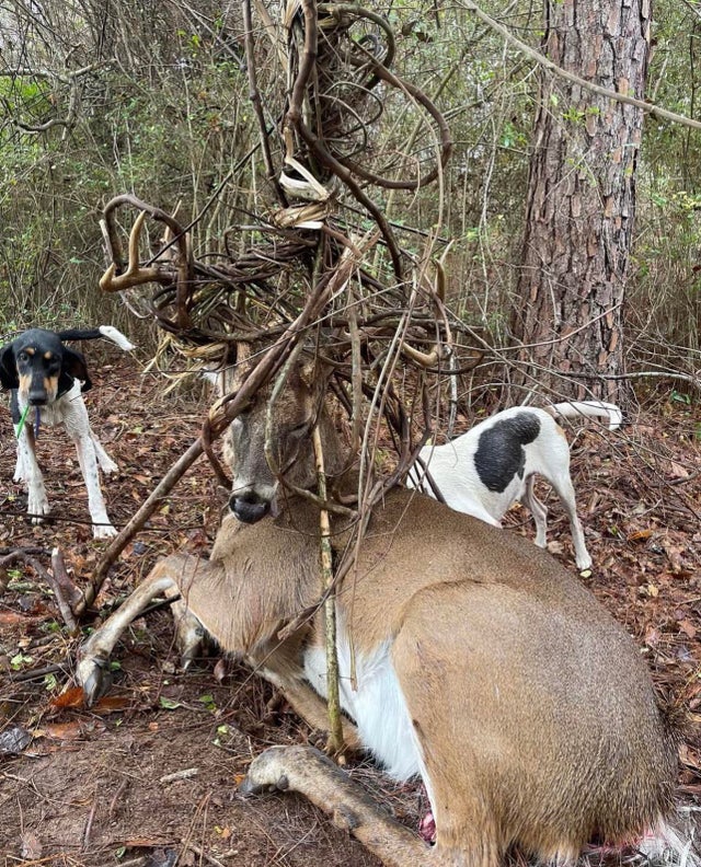 25张活久未见的历史照片,35张活久见的照片