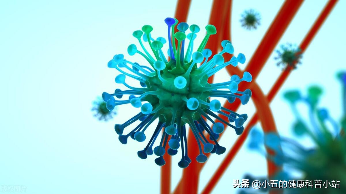 老年人提高免疫力吃什么药物,老年人提高免疫力吃什么药效果好