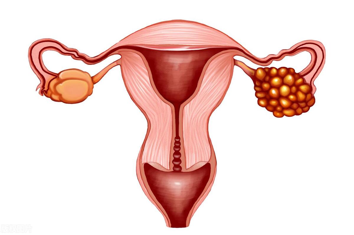 子宫切除对女性有什么危害和影响,女性切除子宫后对男性有什么影响