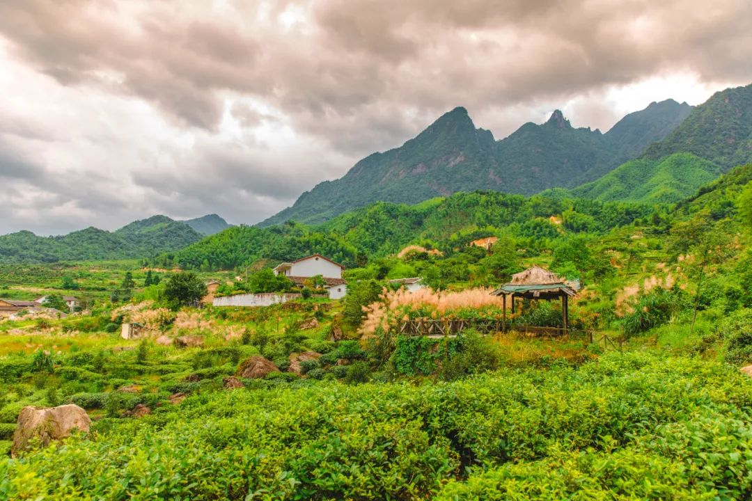 万里茶道第一镇铅山休闲一日游,铅山县万里茶道世界遗产
