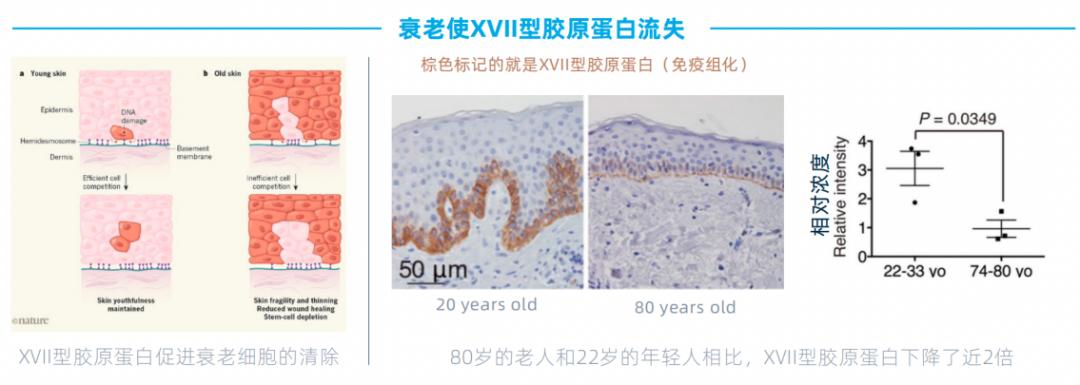 未名拾光属于未名集团吗,未名拾光怎么样