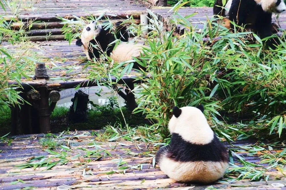 浙江市区度假酒店推荐,浙江轻奢酒店值得推荐