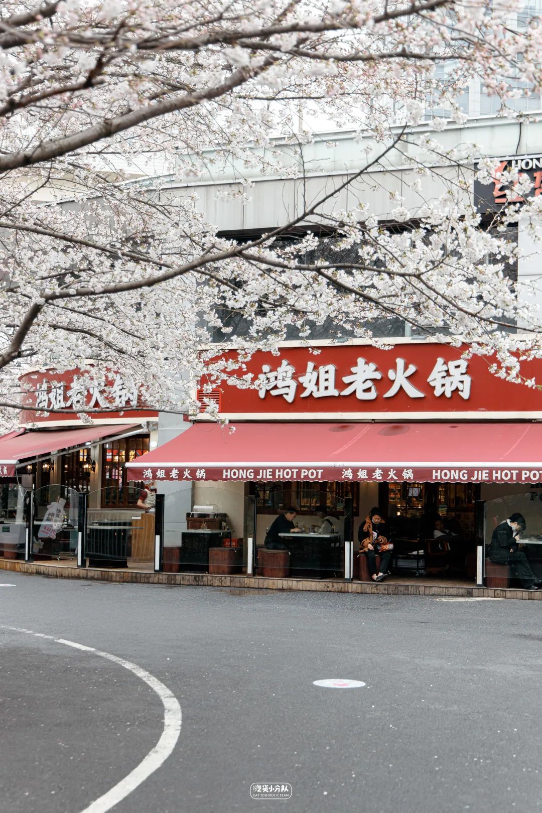 樱花最旺盛的时间,樱花最茂盛的时候是哪个季节