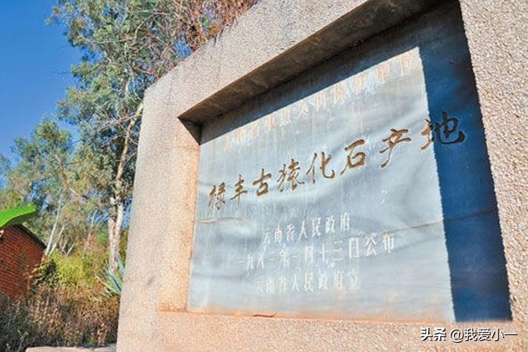 云南楚雄古建筑屋顶,云南楚雄守护古建筑