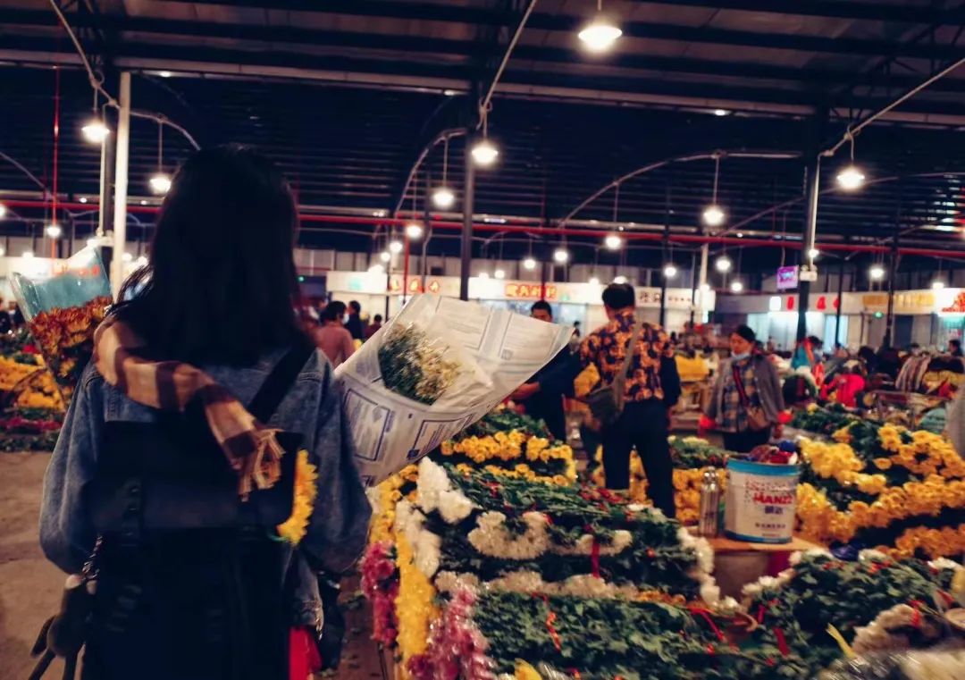 差异化竞争夹缝中求生存,差异化竞争进高等学府