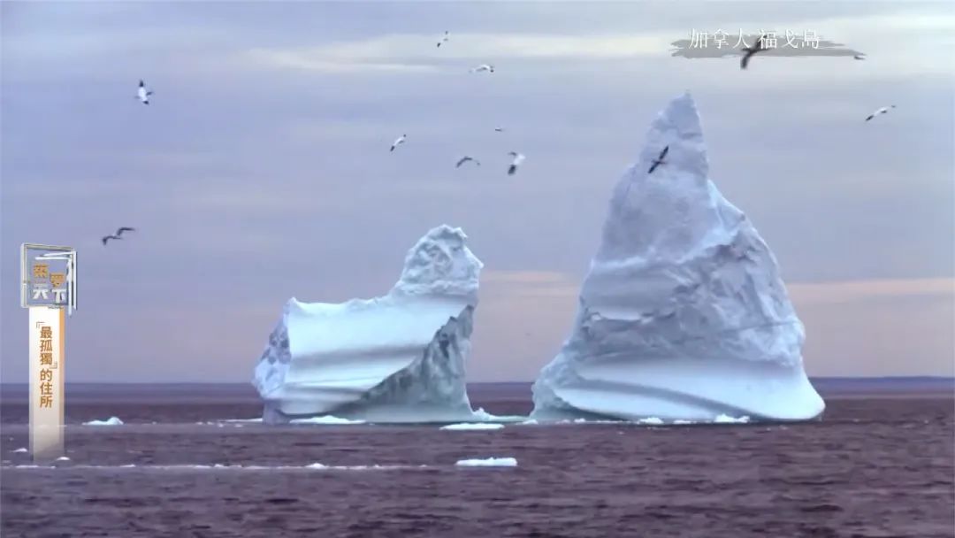 孤岛探秘试玩,孤岛探秘小说