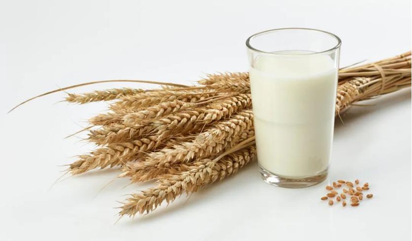 植物奶为何走红,植物奶对比牛奶