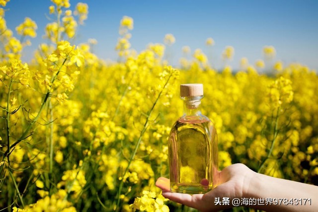 乡村端午趣味活动,十堰传统端午节