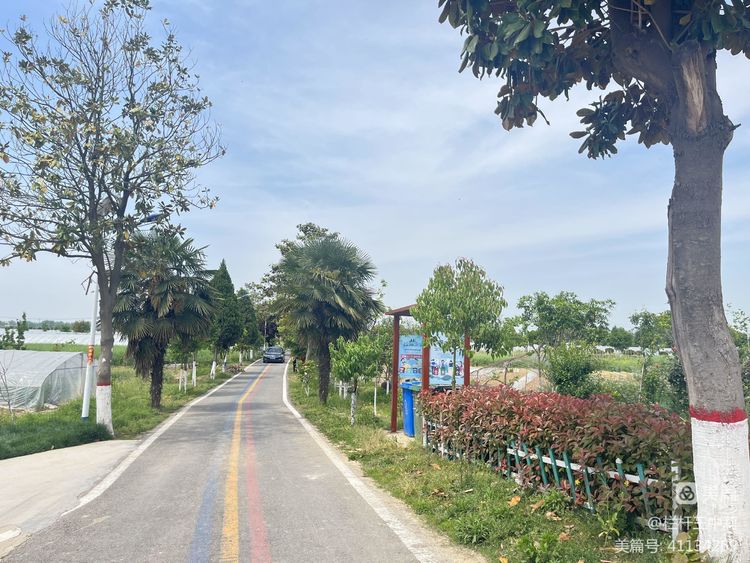 平安淮滨新变化丨淮滨县栏杆街道:喜迎二十大,夸夸我的家乡王湾新变化