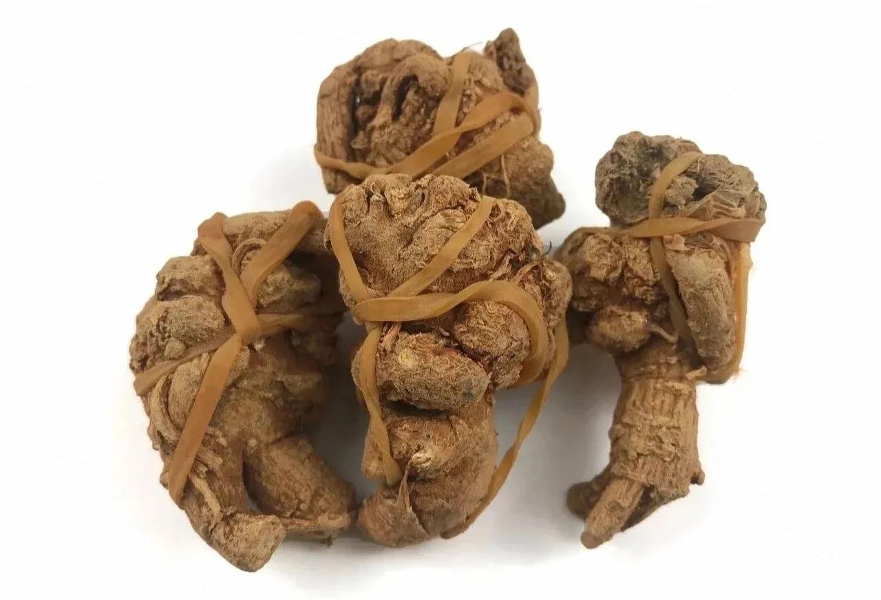 甯歌浼姡浜у搧,甯歌鍔h嵂