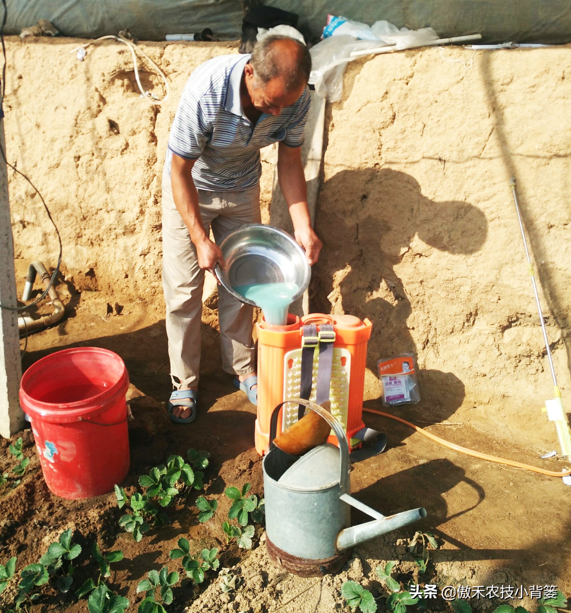 发酵微生物菌剂需要什么原料,微生物菌剂是什么怎么自己制作