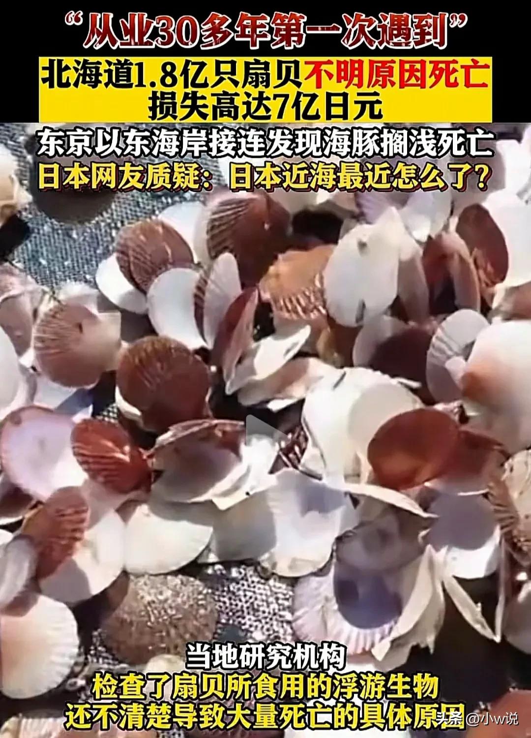 苏州港进口日本海鲜,苏州官方谈进口日本海鲜