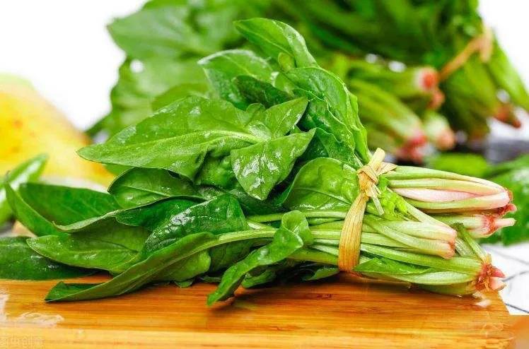 老年人高蛋白食物食谱一览表,适合老年人吃的低脂食物