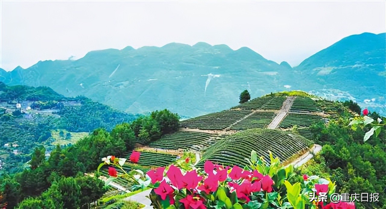 推进生态建设高质量发展,大力推进城乡环境基础设施建设