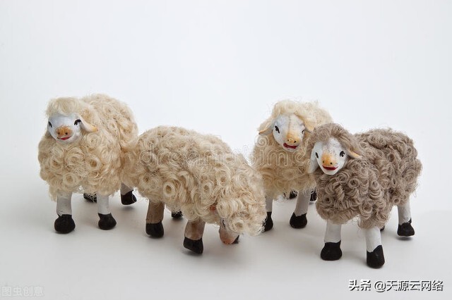 养羊技术羊口疮,养羊为什么那么多羊痘