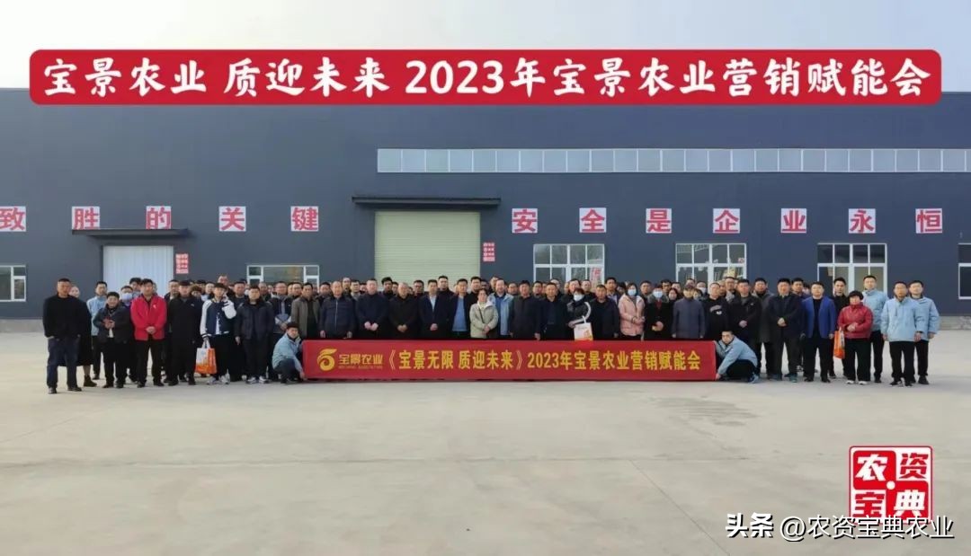 宝景666比郑单958增产多少,宝景666玉米种多少钱一袋