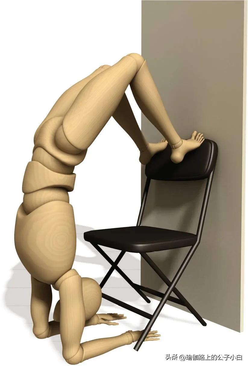 瑜伽解剖体式哈他,瑜伽解剖体式讲解